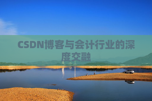 CSDN博客与会计行业的深度交融